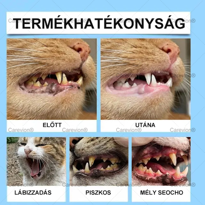 [Hivatalos Bolt]🐕‍🦺🐕‍🦺 Carevion® Pet Dental & Digestive Health Szájápoló Folyadék – Frissebb lehelet, kevesebb fogkő és támogatás az ínyregenerációhoz, stabilizálja a fogakat (macskák és kutyák számára) – Spórolj 70%-ot ma!