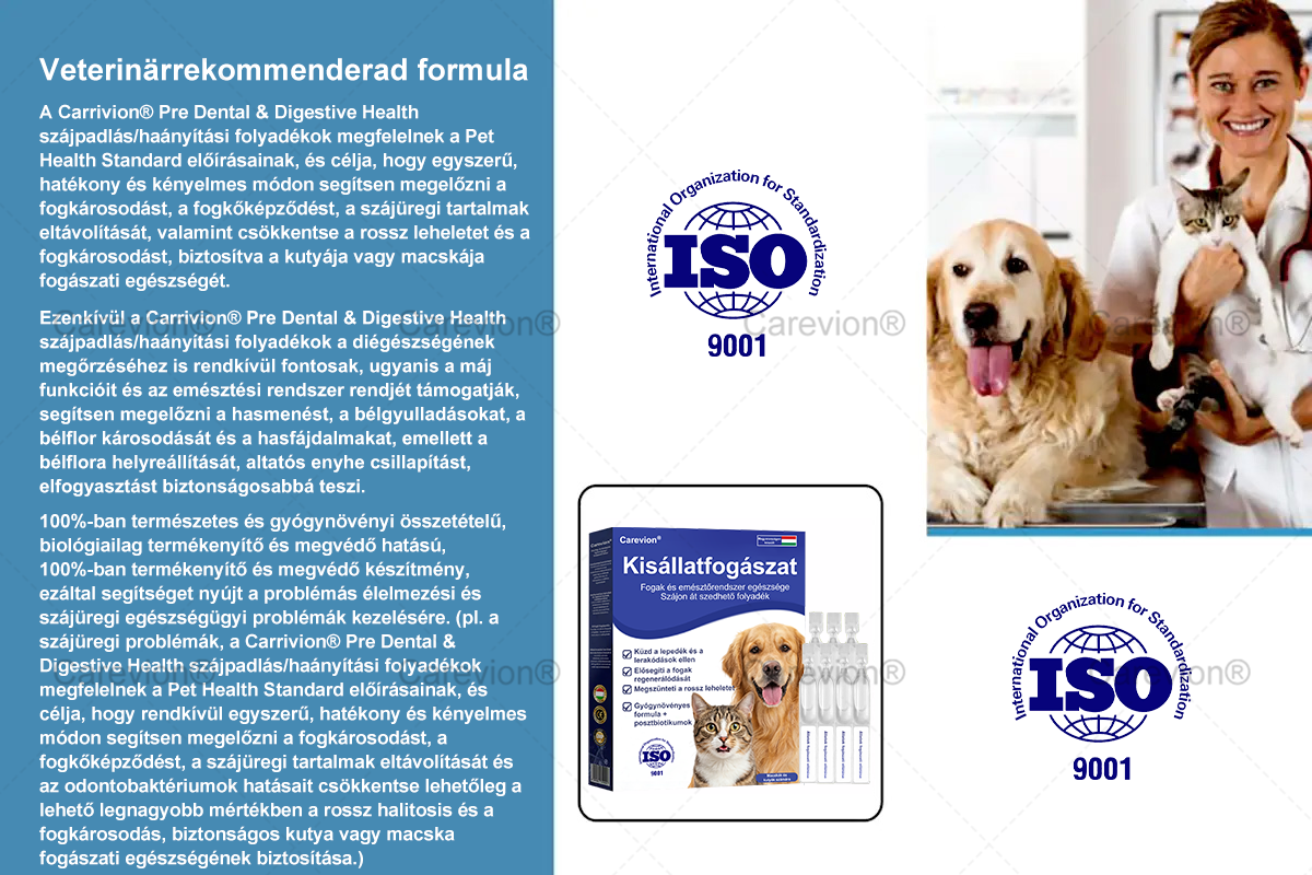 [Hivatalos Bolt]🐕‍🦺🐕‍🦺 Carevion® Pet Dental & Digestive Health Szájápoló Folyadék – Frissebb lehelet, kevesebb fogkő és támogatás az ínyregenerációhoz, stabilizálja a fogakat (macskák és kutyák számára) – Spórolj 70%-ot ma!