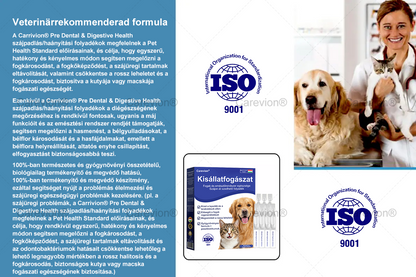 [Hivatalos Bolt]🐕‍🦺🐕‍🦺 Carevion® Pet Dental & Digestive Health Szájápoló Folyadék – Frissebb lehelet, kevesebb fogkő és támogatás az ínyregenerációhoz, stabilizálja a fogakat (macskák és kutyák számára) – Spórolj 70%-ot ma!