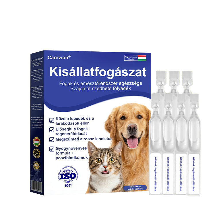 [Hivatalos Bolt]🐕‍🦺🐕‍🦺 Carevion® Pet Dental & Digestive Health Szájápoló Folyadék – Frissebb lehelet, kevesebb fogkő és támogatás az ínyregenerációhoz, stabilizálja a fogakat (macskák és kutyák számára) – Spórolj 70%-ot ma!