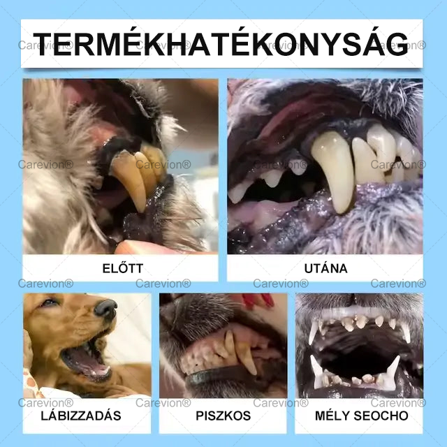 [Hivatalos Bolt]🐕‍🦺🐕‍🦺 Carevion® Pet Dental & Digestive Health Szájápoló Folyadék – Frissebb lehelet, kevesebb fogkő és támogatás az ínyregenerációhoz, stabilizálja a fogakat (macskák és kutyák számára) – Spórolj 70%-ot ma!