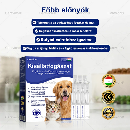 [Hivatalos Bolt]🐕‍🦺🐕‍🦺 Carevion® Pet Dental & Digestive Health Szájápoló Folyadék – Frissebb lehelet, kevesebb fogkő és támogatás az ínyregenerációhoz, stabilizálja a fogakat (macskák és kutyák számára) – Spórolj 70%-ot ma!
